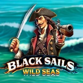 Try Black Sails Wild Seas slot by Infinity Dragon Studios on evolvecasino.eu – logo image