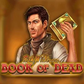 Book of Dead slot logo by Play'n GO at Evolve Casino
