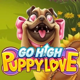Go High Puppy Love – slot by RubyPlay, featured at evolvecasino.eu