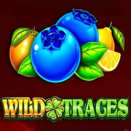 Enjoy Wild Traces by Amusnet Interactive – logo hosted on evolvecasino.eu