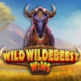 Play Wild Wildebeest Wins slot by Pragmatic Play on evolvecasino.eu